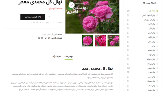 screencapture-nahalestanakbari-ir-product-2023-06-11-15_49_09